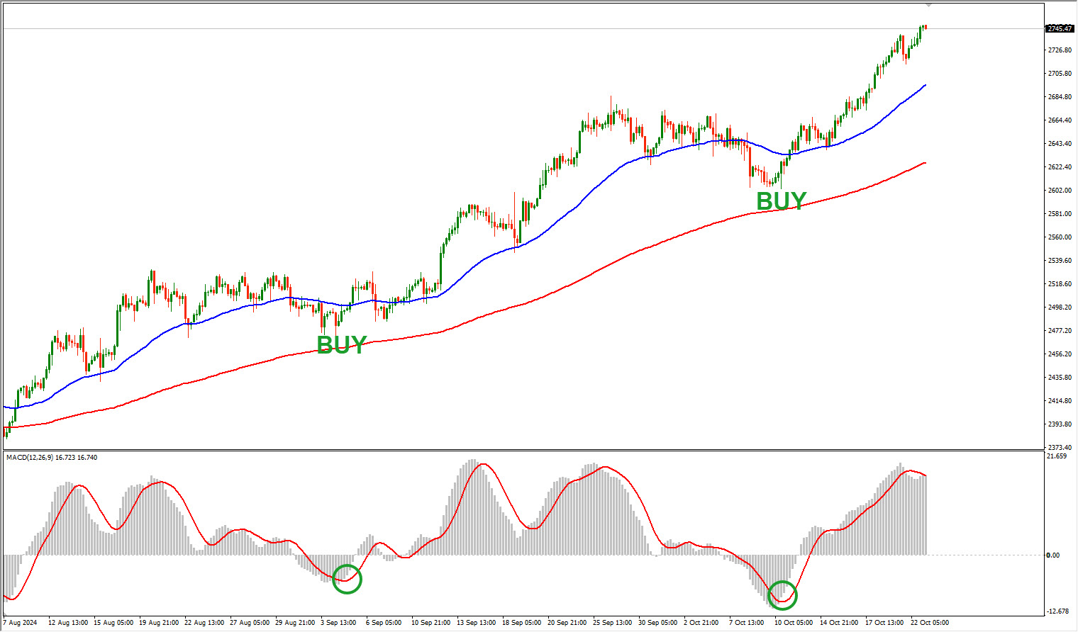 strategi+trading+forex+trend+following+buy